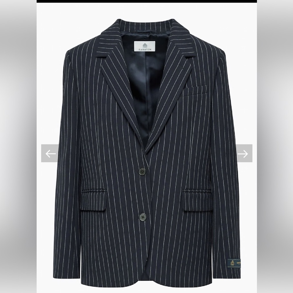 Aritzia Babaton New Agency Pinstripe Blazer